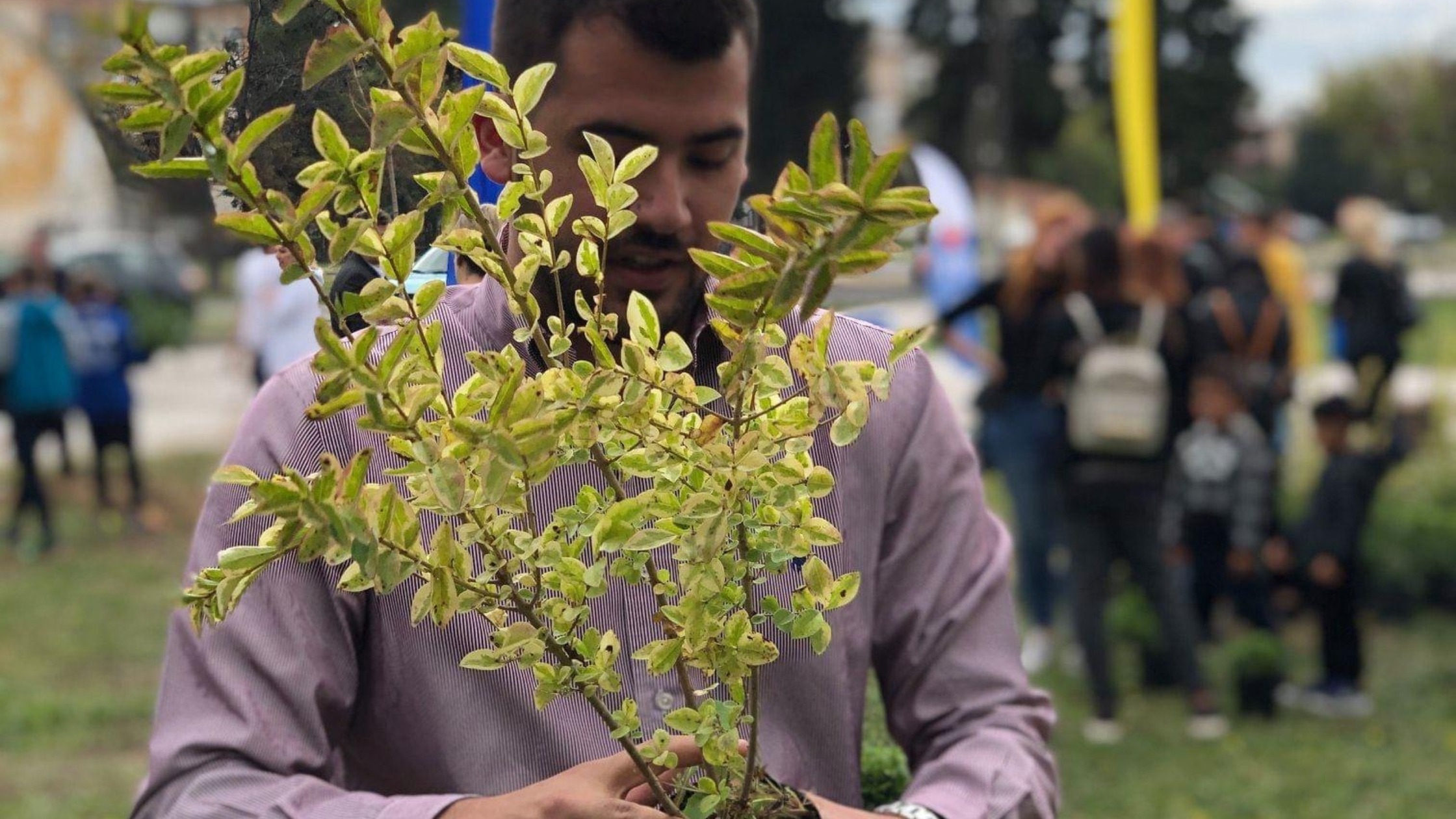 Δραστηριότητες 245 δενδροφύτευση-ομάδα-θοδωρής-σιδηρόπουλος-δήμος-αμπελοκήπων-μενεμένης-blog-cover