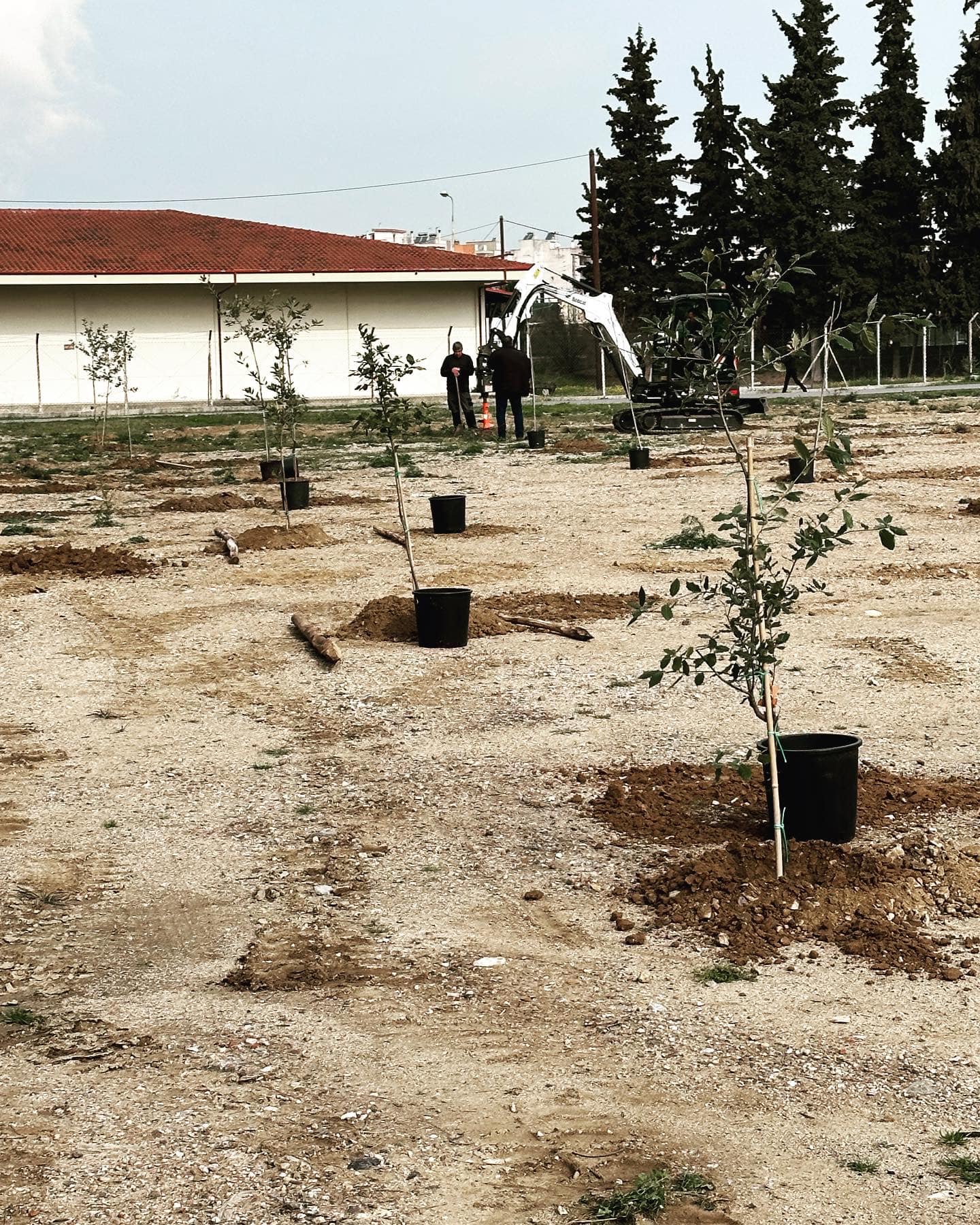 Δραστηριότητες 220 dentrofutepsi3