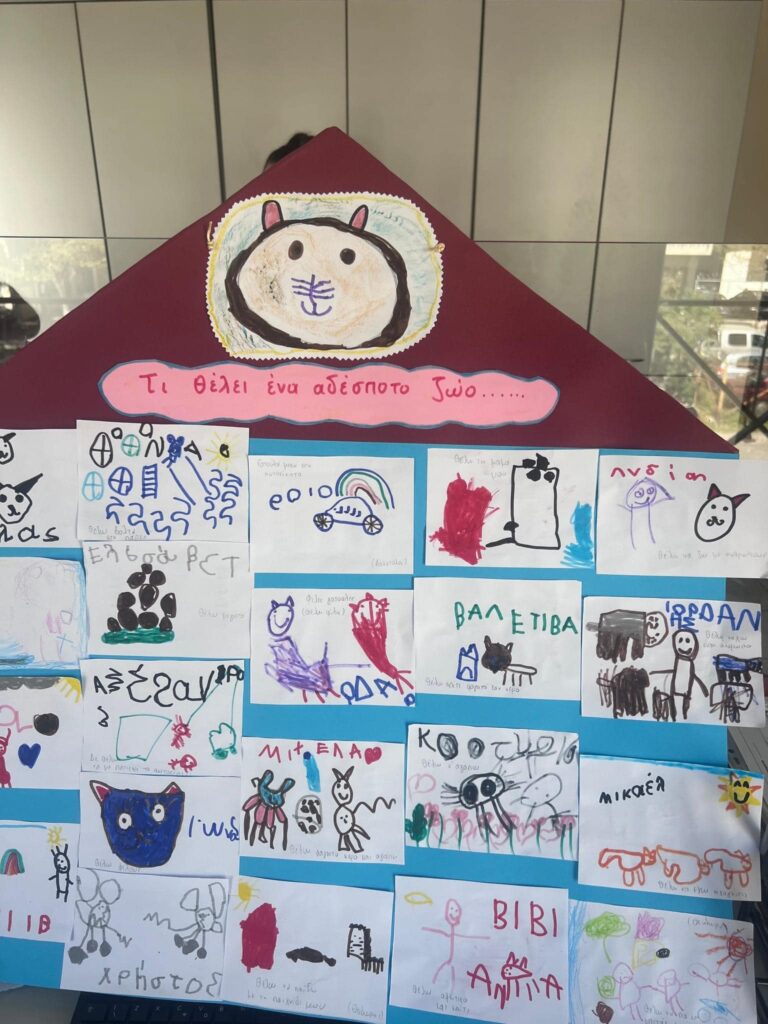 434584399 10221212723546865 6898896415500240145 n